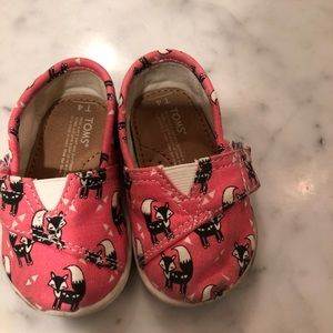 Baby toms